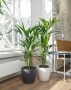 Ховея 24/130 см в CLASSICO COLOR 28