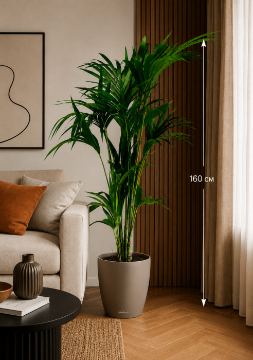 Ховея 24/150 см в CLASSICO COLOR 35 Ховея 24/150 см в CLASSICO COLOR 35