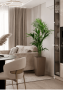 Ховея Кентия 24/150 см в CUBICO 30