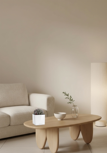 Эхеверия микс 10 см в CUBE GLOSSY 14