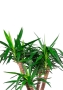 Юкка бранч 31/150 см в CANTO STONE HIGH 40 Юкка бранч 31/150 см в CANTO STONE HIGH 40